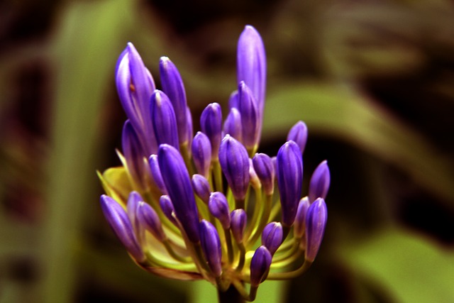 队士气和内 队士气和内