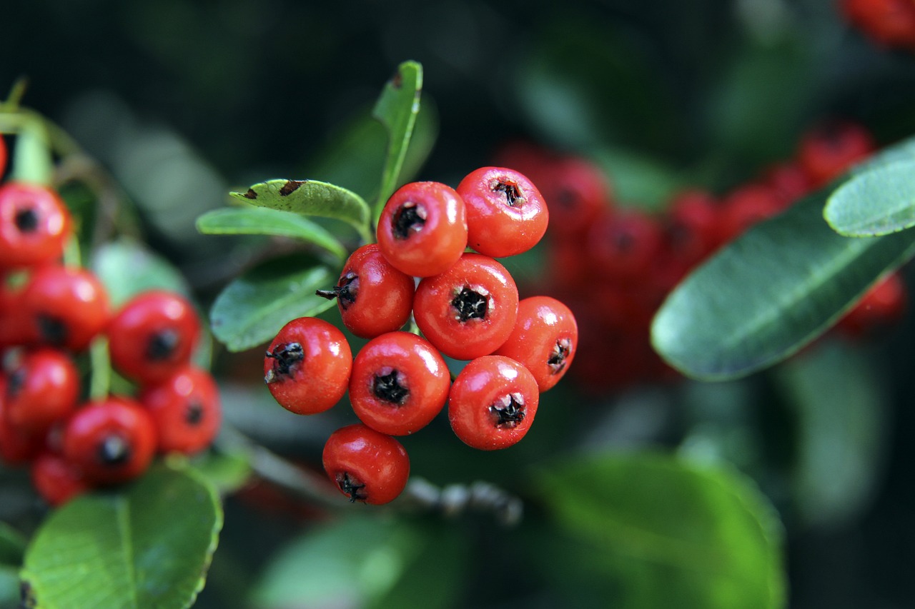 这些保障 这些保障