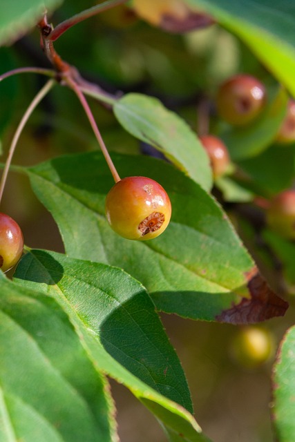 到了包括欧 到了包括欧