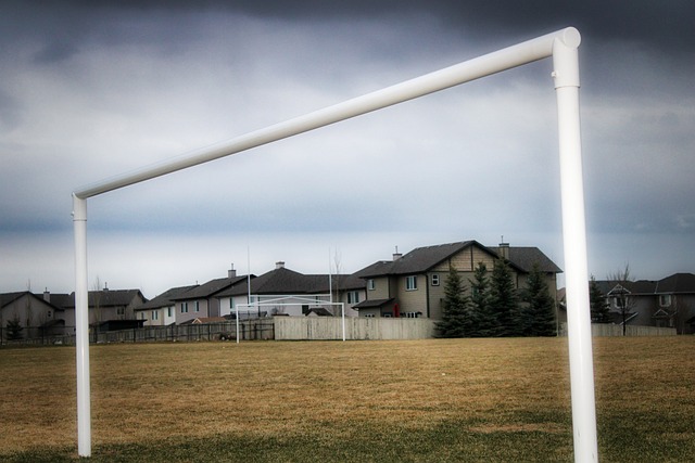 这种自信不 这种自信不