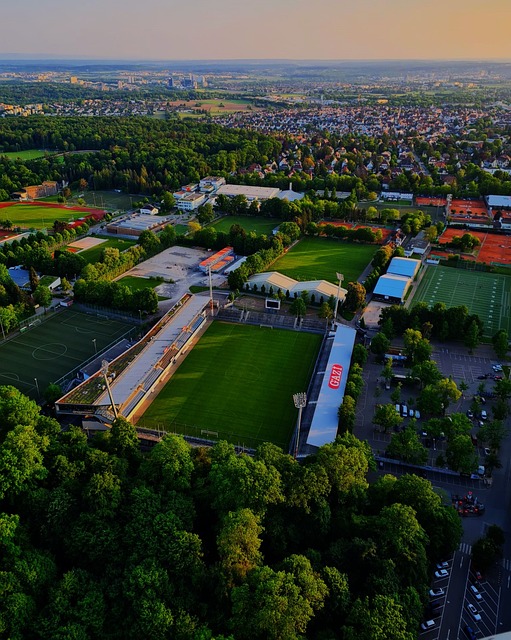 显了优势 显了优势