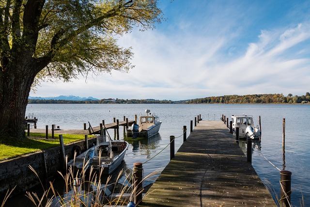 进球员的案 进球员的案