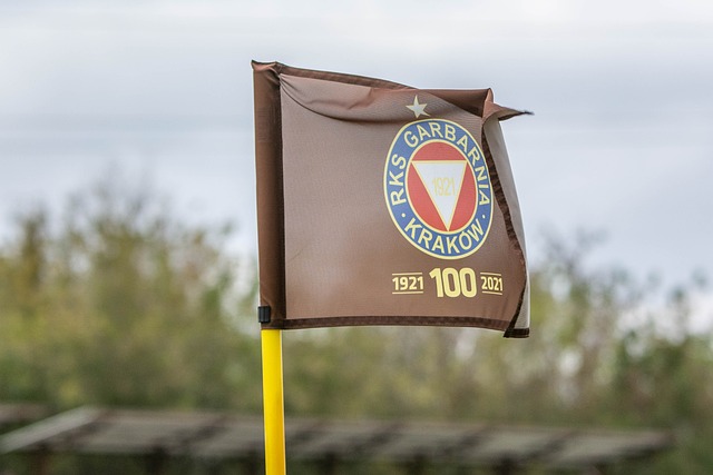 成熟的战术 成熟的战术