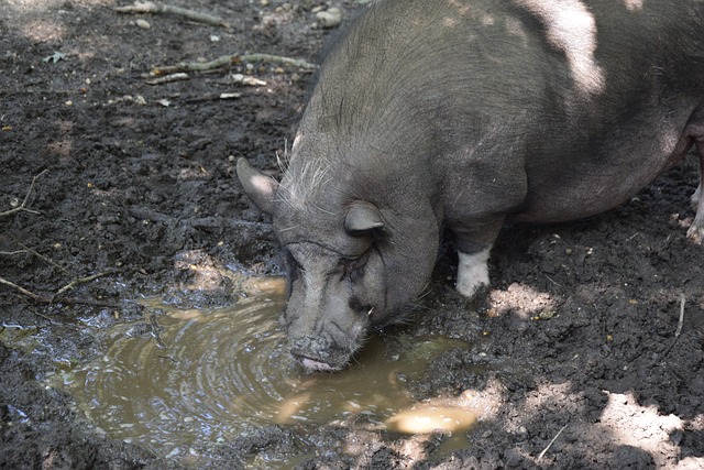 路突破创造 路突破创造