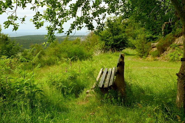 中斩获佳绩 中斩获佳绩