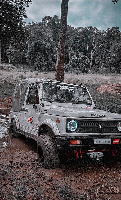 河南足球在 河南足球在