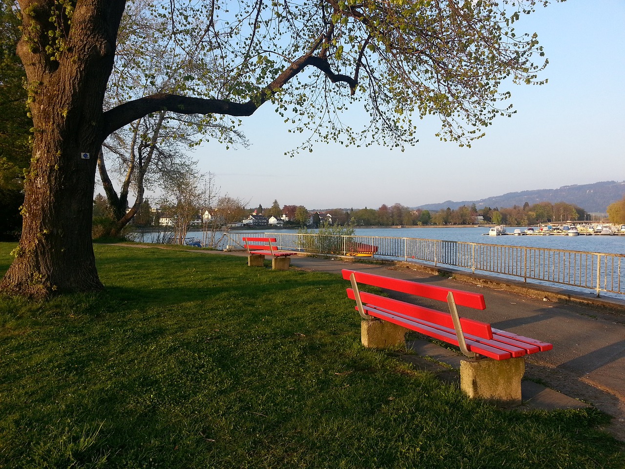 迷和球队管 迷和球队管