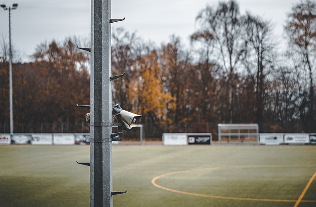 注入了新鲜 注入了新鲜