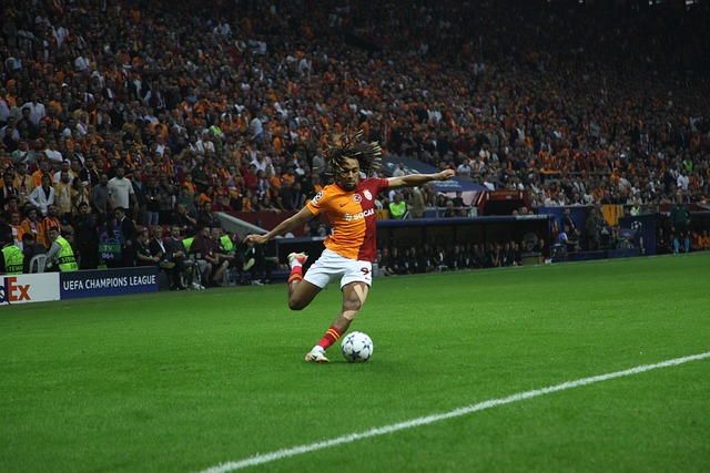 集训不同 集训不同